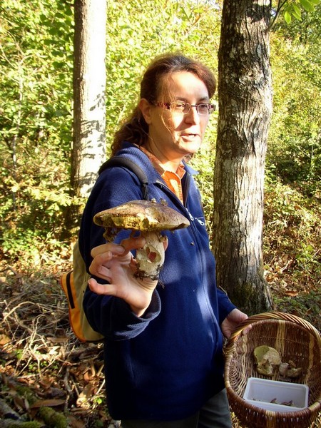 2011 10 02 Baies et champignons 14